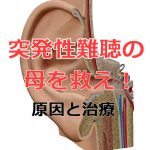 突発性難聴になった母を救え！！【原因と治療方法】PART1の詳細へ