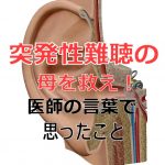 突発性難聴になった母を救え！！【医師の言葉でおもったこと】PART２の詳細へ