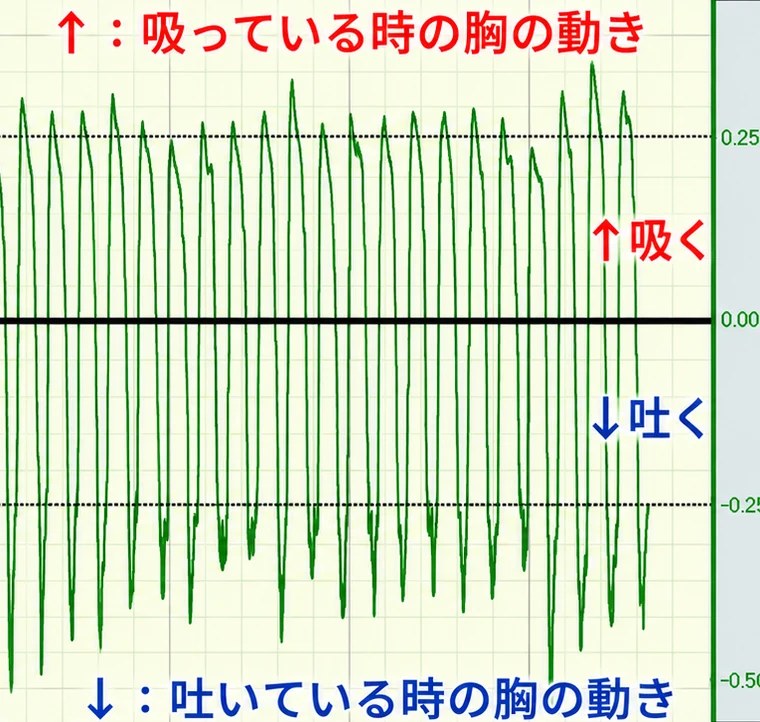 胸の動きの計測記録（はり後）