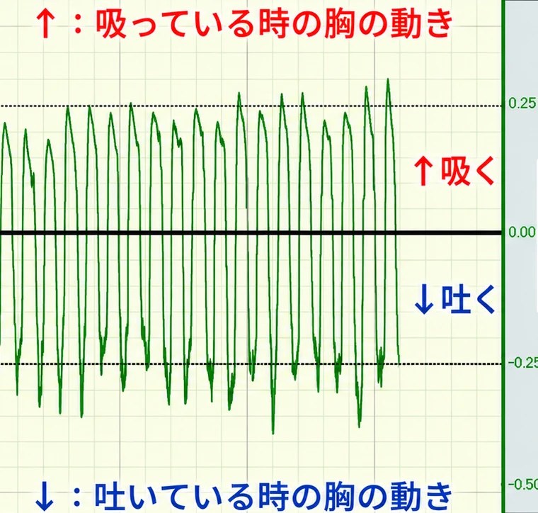 胸の動きの計測記録（はり前）